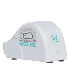 MOLECULAR MOUSE