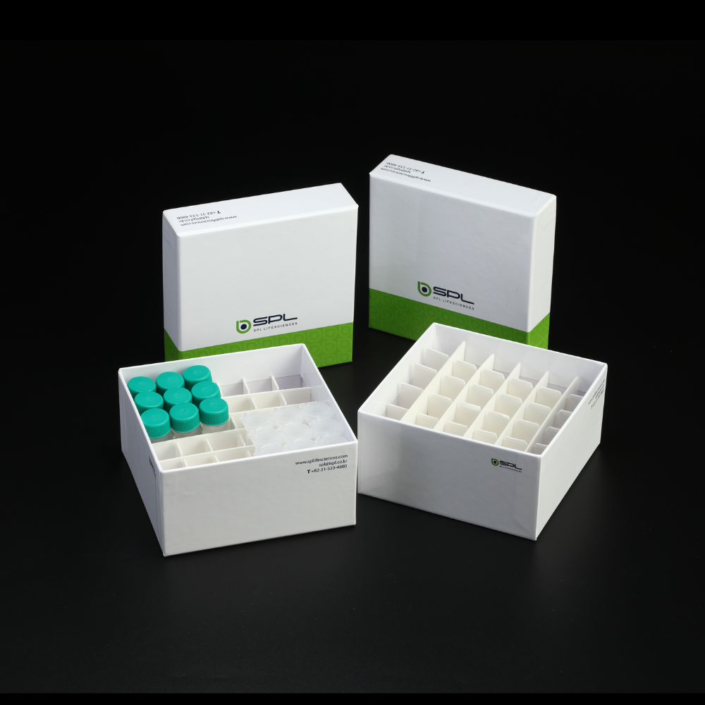 25 ml Tube Storage Box