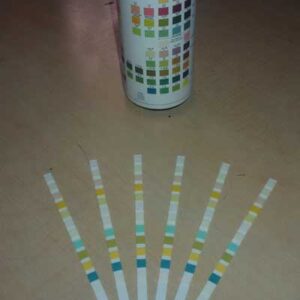 Urine Reagent Strips