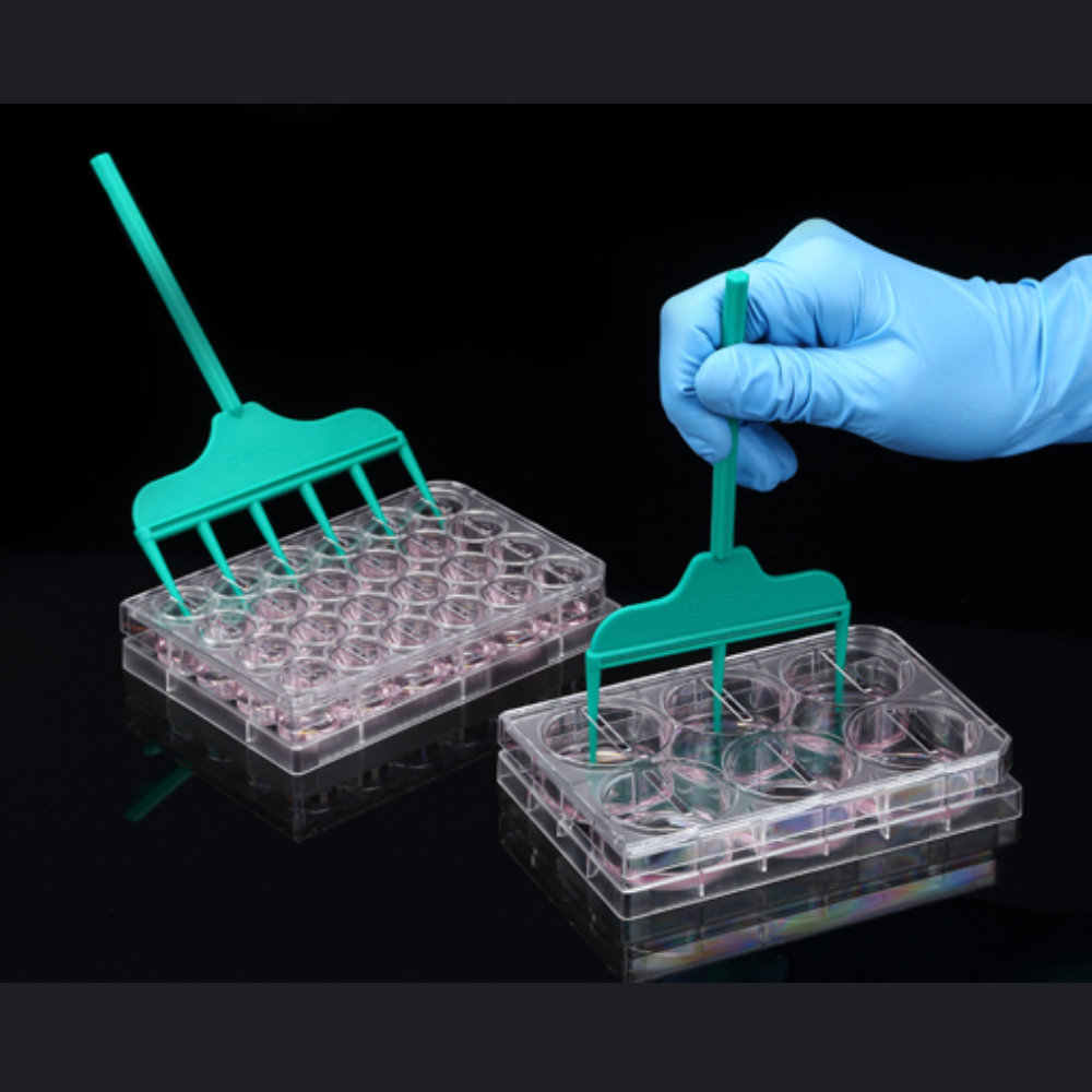 SPLScar™ Scratcher