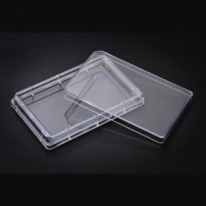 Tray Plate