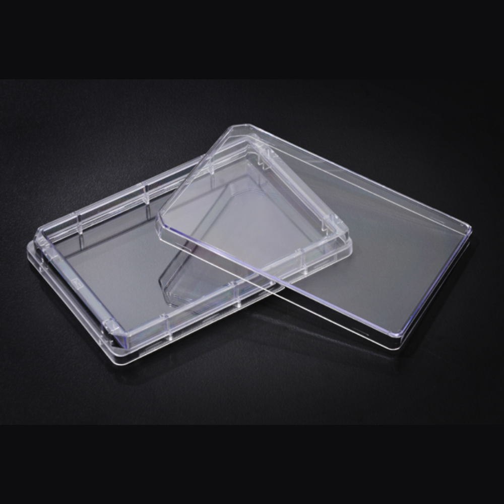 Tray Plate