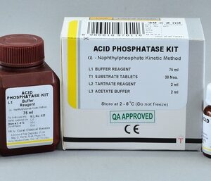 Acid Phosphatase