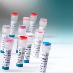 HBV Real-time PCR Kit